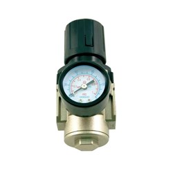 1/4" Air Regulator and Gauge