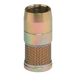 RAASM Foot Valve Strainer