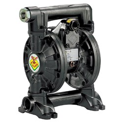 RAASM 3/4" Series Cataphoresis Diaphragm Pump 70L/min