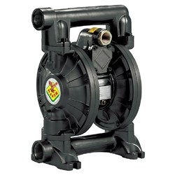 RAASM 1 1/4" Series Cataphoresis Diaphragm Pump 200L/min